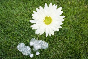 poubelle-dechet-nature-polution