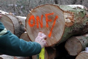 forestiers-randonnee