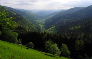 randonnee-sainte-marie-aux-mines