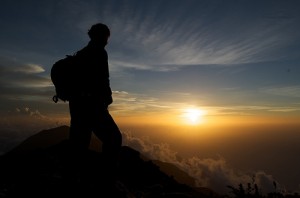 voyageur
