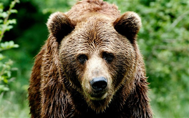 ours-randonee