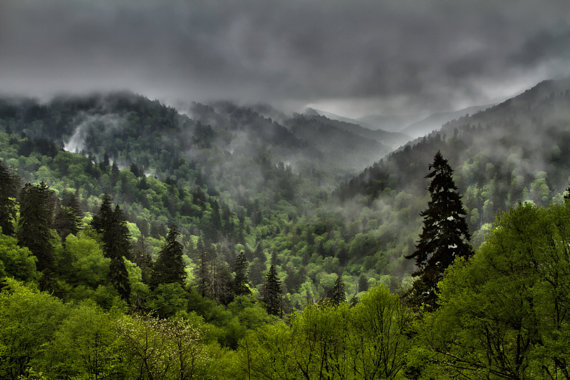 vosges-pluie