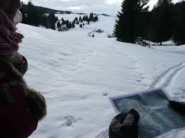 survivre froid