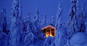 cabane bois
