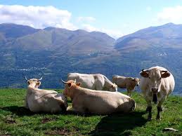 col de Val Louron Azet