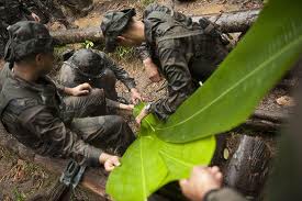 survie amazonie