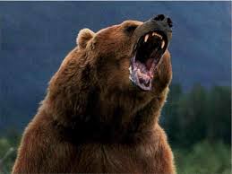 ours