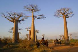 Madagascar randonnee