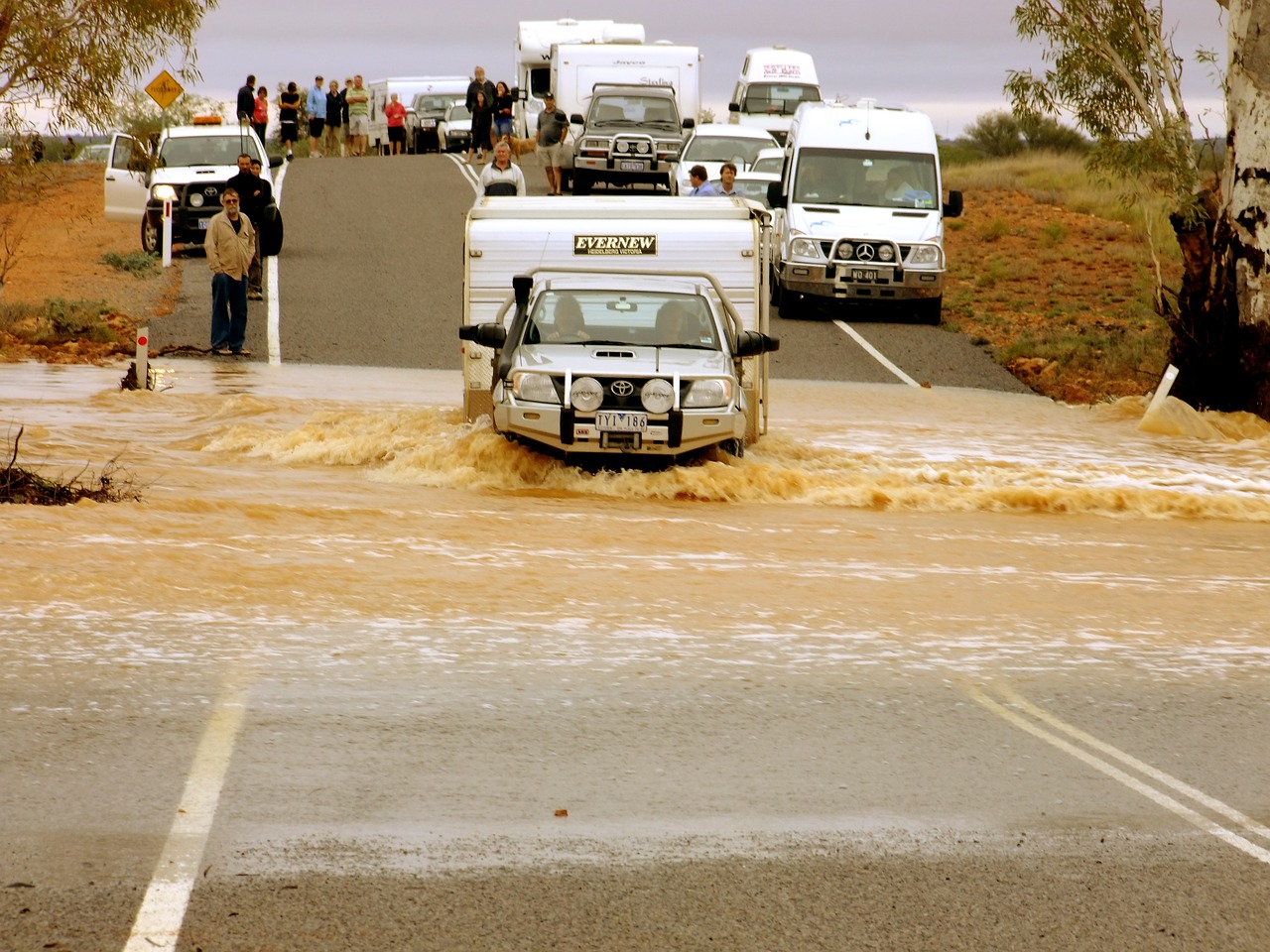 voiture survie