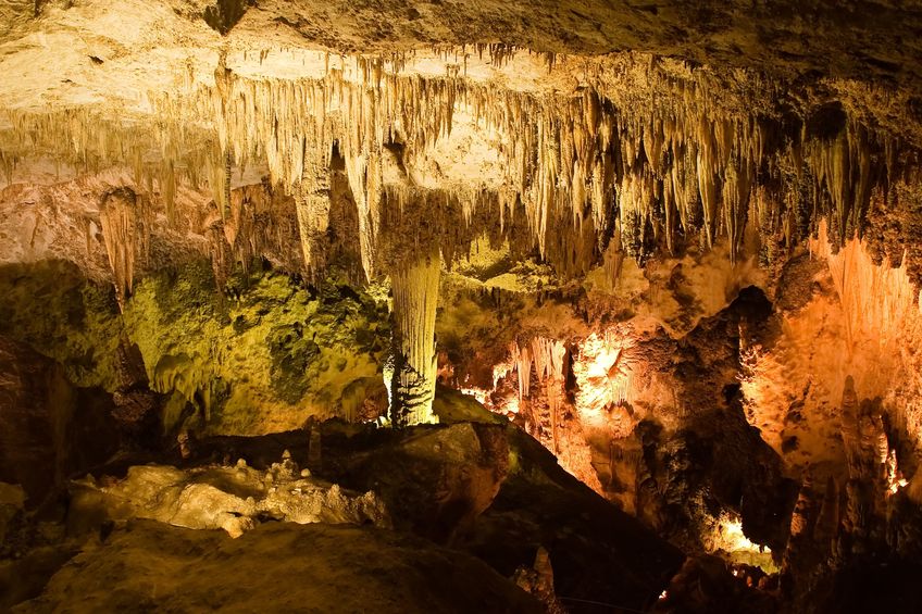 Le labyrinthe de Copeyre est un autre site unique en son genre en Dordogne après le Parc Aquatique Lot. Conçu pour être un espace de loisirs, il offre également une occasion de découvrir la nature et de se connecter avec elle.