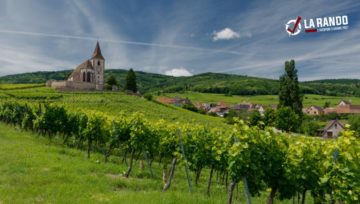 Les meilleures randonnées à faire en Alsace