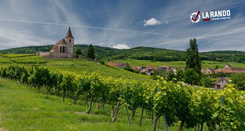 randonnée en Alsace, sentiers des Vosges, châteaux alsaciens, paysages pittoresques, vignobles renommés, nature préservée, culture alsacienne, villages pittoresques, panoramas à couper le souffle, sentiers viticoles, forêts luxuriantes, vallées enchantées, histoire médiévale, découverte de l'Alsace, trésors naturels, beauté naturelle, randonnées inoubliables, dégustation de vins, sentier des Grands Crus, expériences en plein air, immersion culturelle