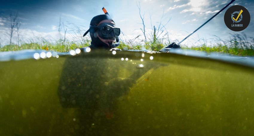 Chasse Sous-marine Sous L'eau