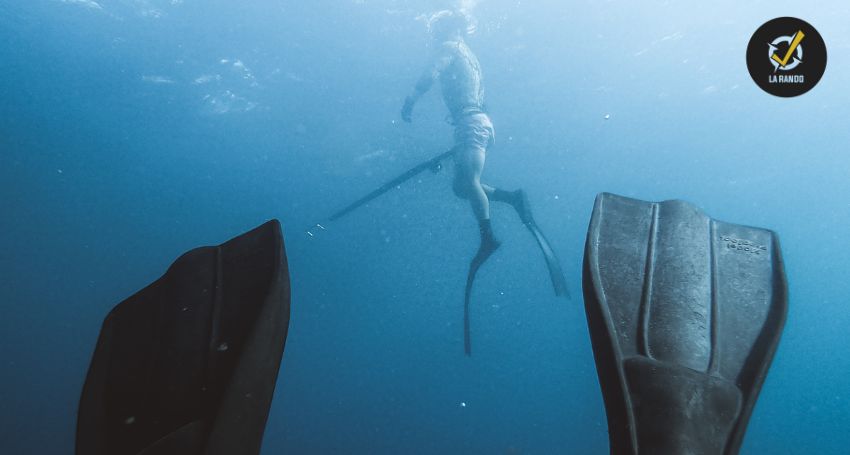 Chasse sous-marine en eaux profondes