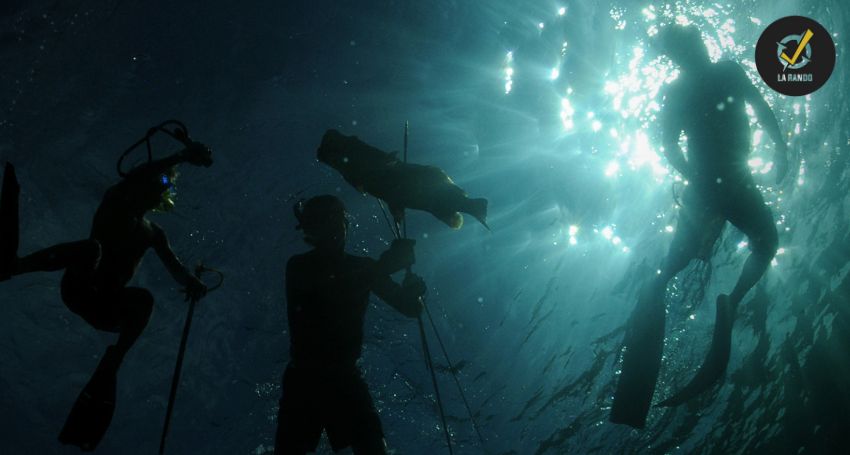 Chasse sous-marine en équipe