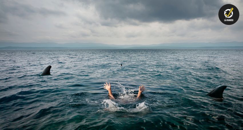 Survivre aux zones de baignade les plus dangereuses au monde