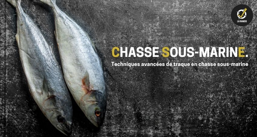 Techniques avancées de traque en chasse sous-marine