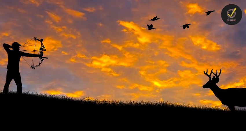 chasse à l'arc et survie en milieu naturel