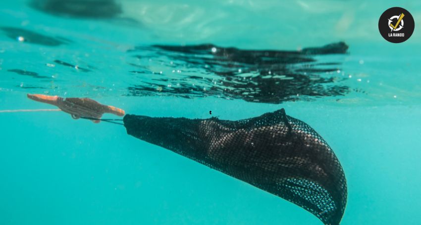 chasse sous-marine en famille