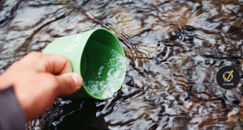 La gestion de l'eau en milieu sauvage : Trouver, purifier et conserver votre source vitale