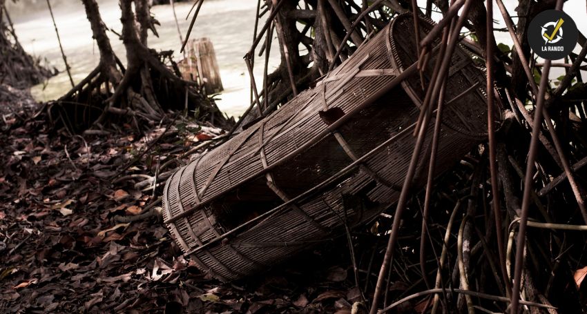 Les pièges à éviter en situation de survie en pleine nature