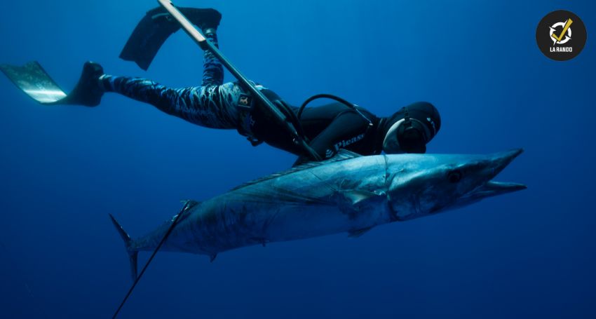 Sensibiliser aux risques de la chasse sous marine - Polynésie la 1ère