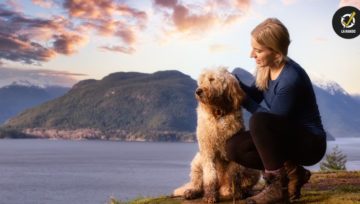 Conseils pour camper et randonner avec votre chien