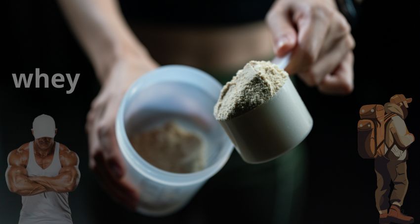 Les bienfaits de la whey pour l'activité sportive