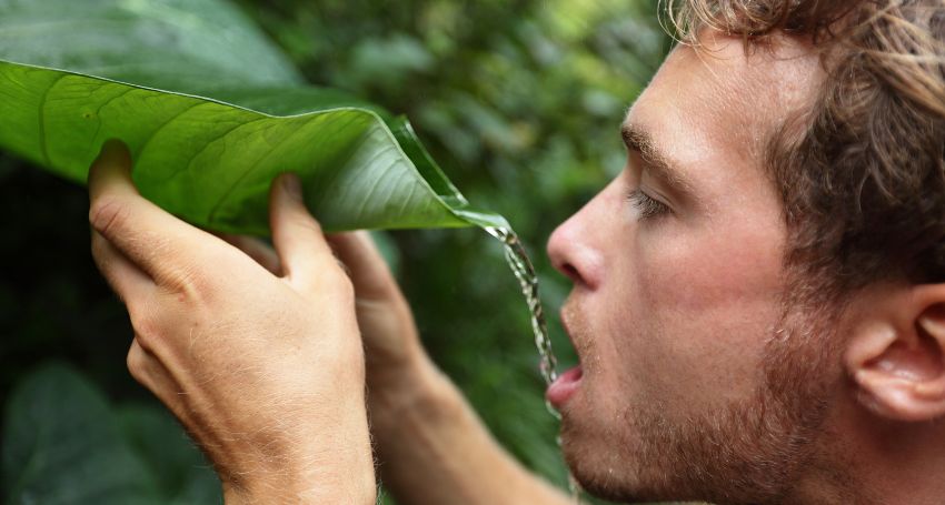 L'importance vitale de l'hydratation en situation de survie