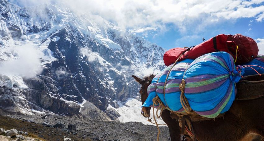 Randonnée avec âne : votre séjour insolite dans le Mercantour !