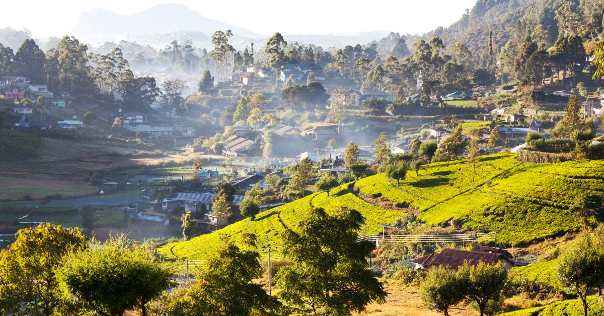 Les Meilleures Randonnées à Faire au Sri Lanka : Découvrez un Paradis pour les Amateurs de Trekking