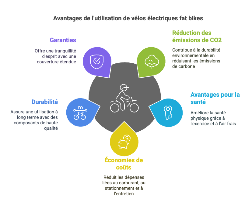 Un moyen de transport écologique et économique