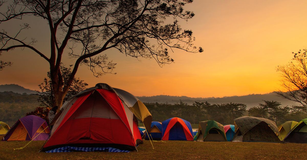 Activités et découvertes autour de votre camping vendéen