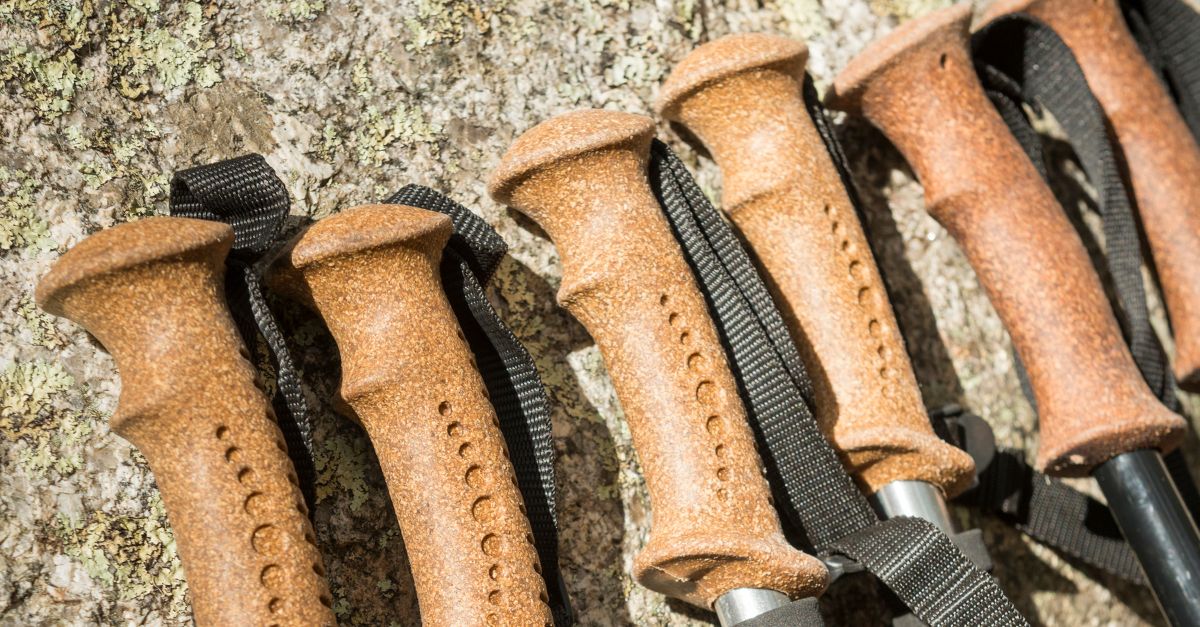 batons de randonnée trekking
