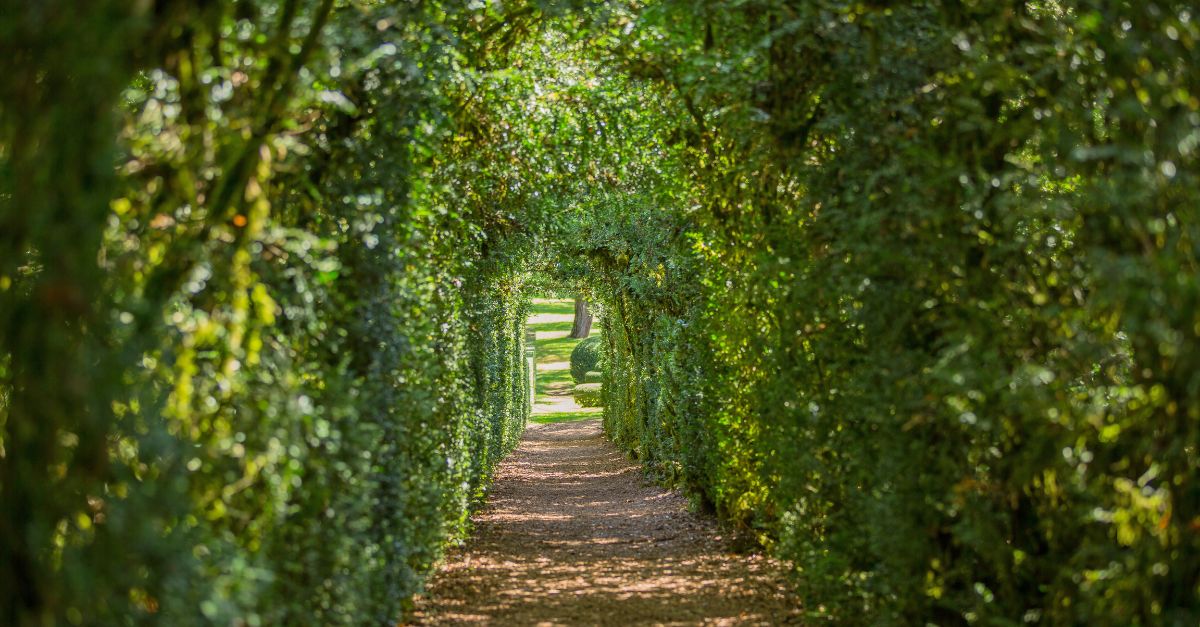 jardins suspendus de Marqueyssac
