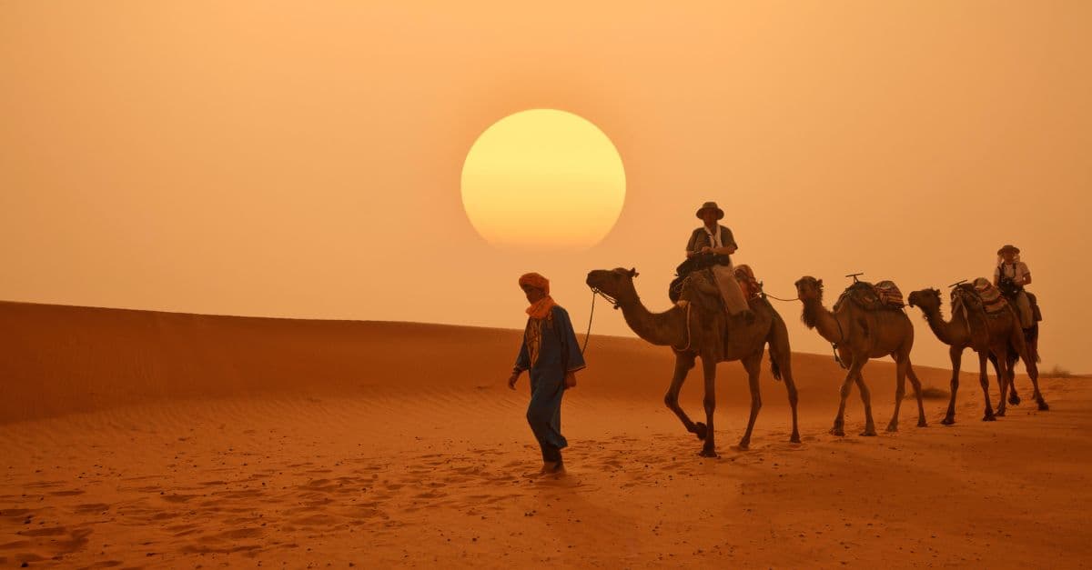 Trekking désertique : 7 jours d'aventure dans le Sahara marocain